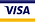 Visa Logo
