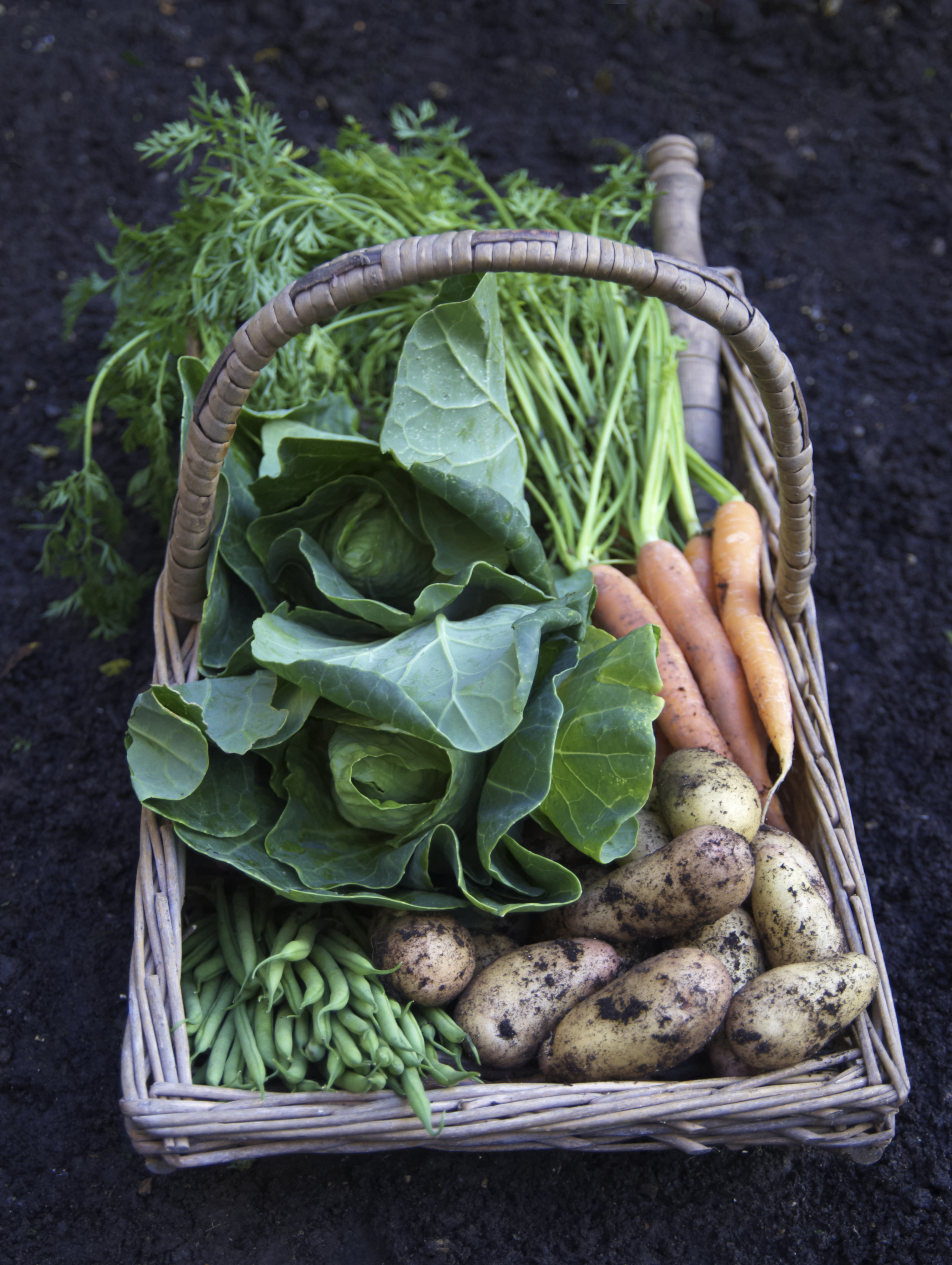 Mixed Basket