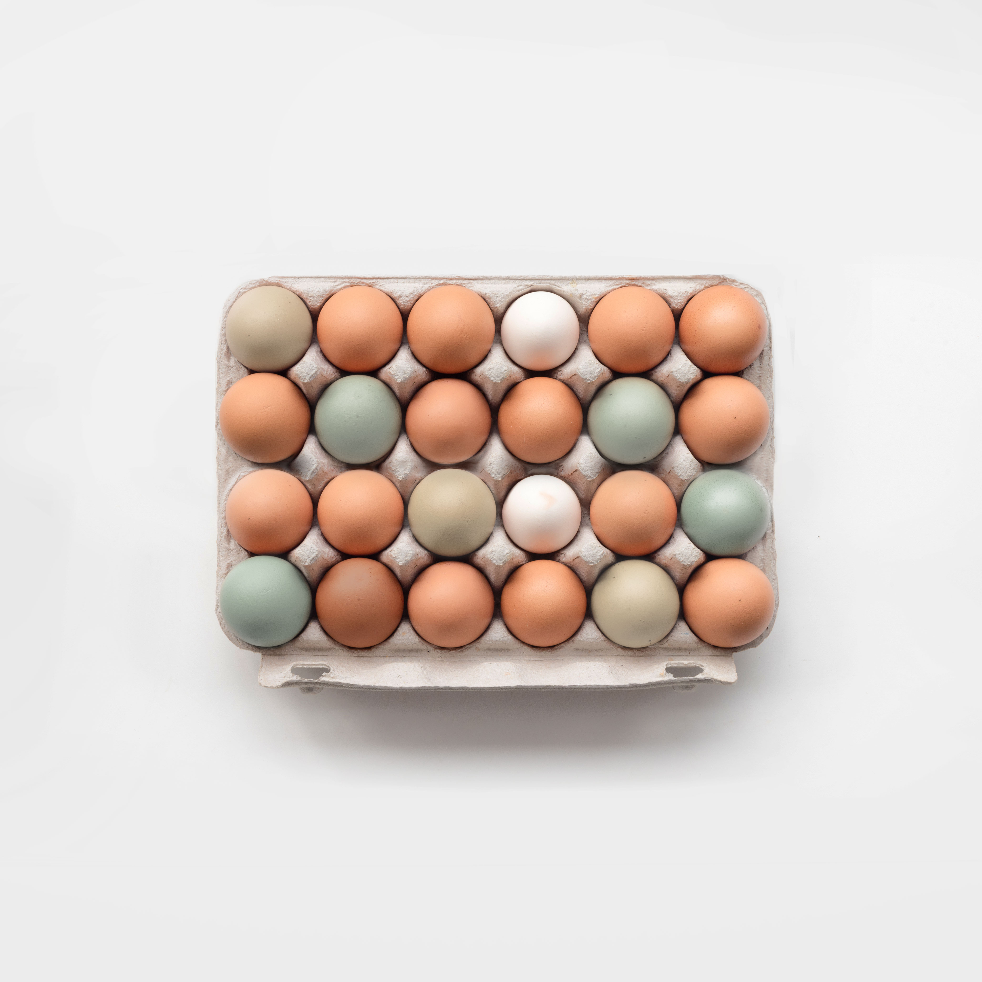 24 Organic Eggs