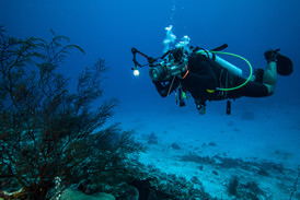 AdobeStock_73501536.jpeg