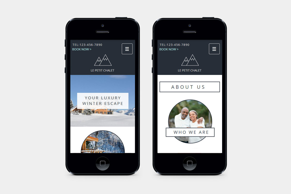 Ski Resort Website