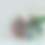 Thumbnail: GLASS BOTTLES