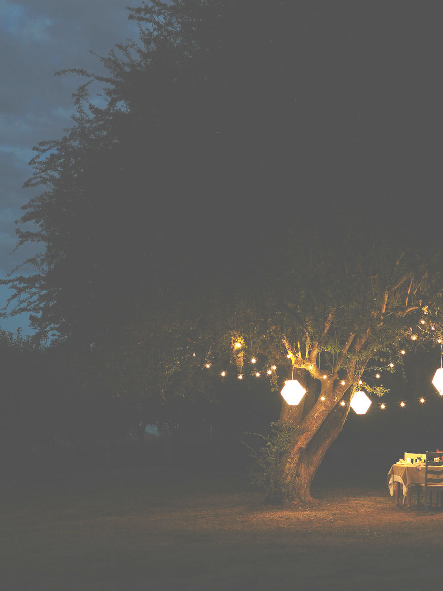 lights and lanterns on a tree