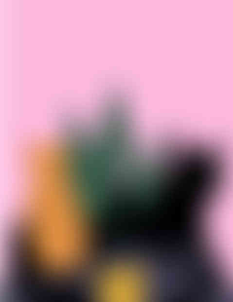 a black cat with green leaves on a pink background