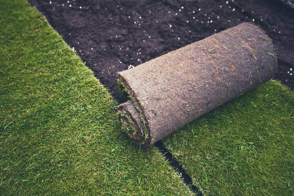 Installation of grass