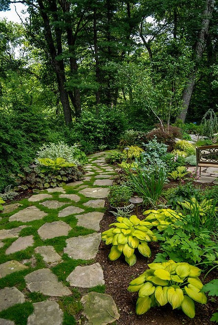 woodland-retreat-a-blade-of-grass-img~02616919028505a0_14-6920-1-506c16c.jpg
