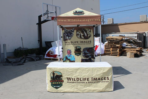 Wildlife Images 5x5 canopy with custom table cover and back wall, used outdoors for outreach