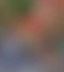 Custom red pop up canopy with feather flags and printed walls used for a City of Chicago outreach event on a city street.