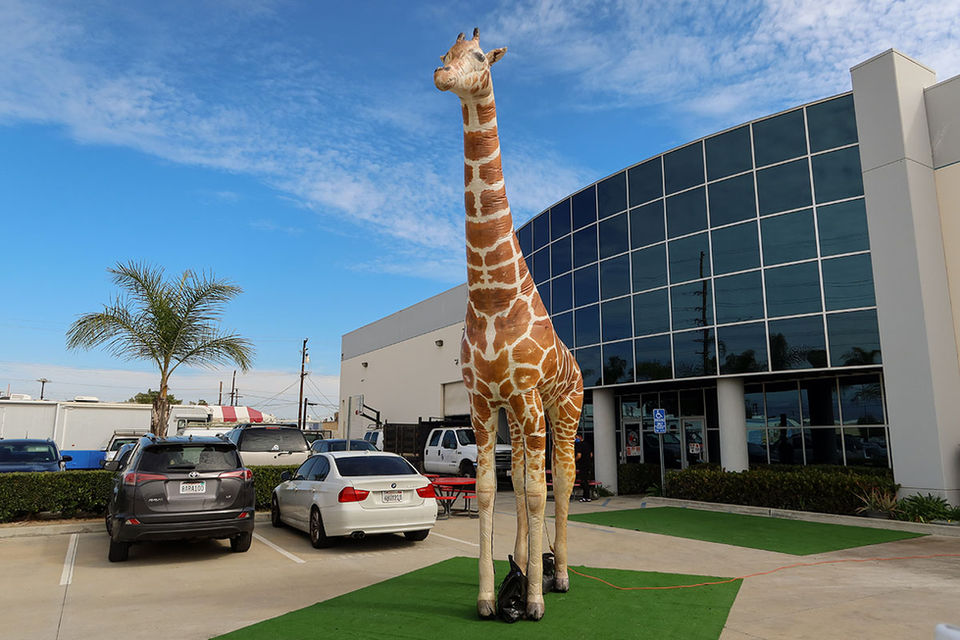 Giant Inflatable Animals: Giraffe