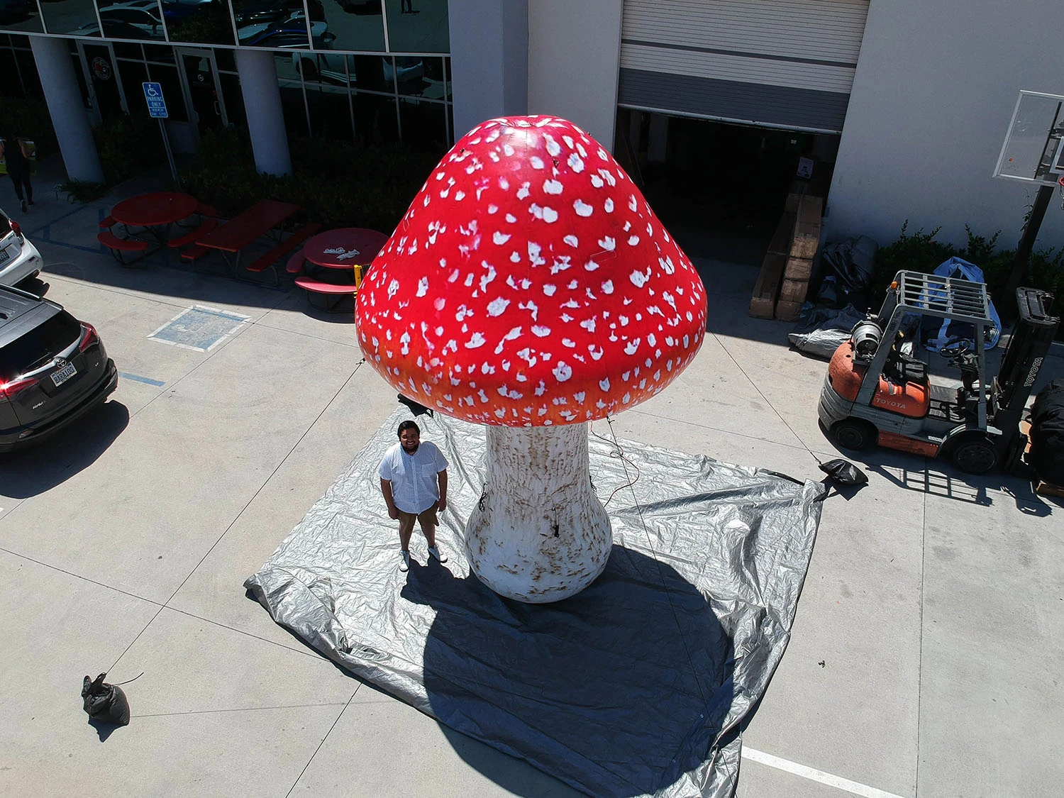 Giant Inflatable Mushroom