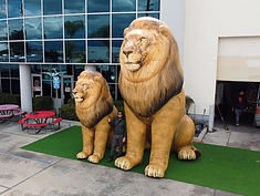 Giant custom inflatable realistic-looking lions