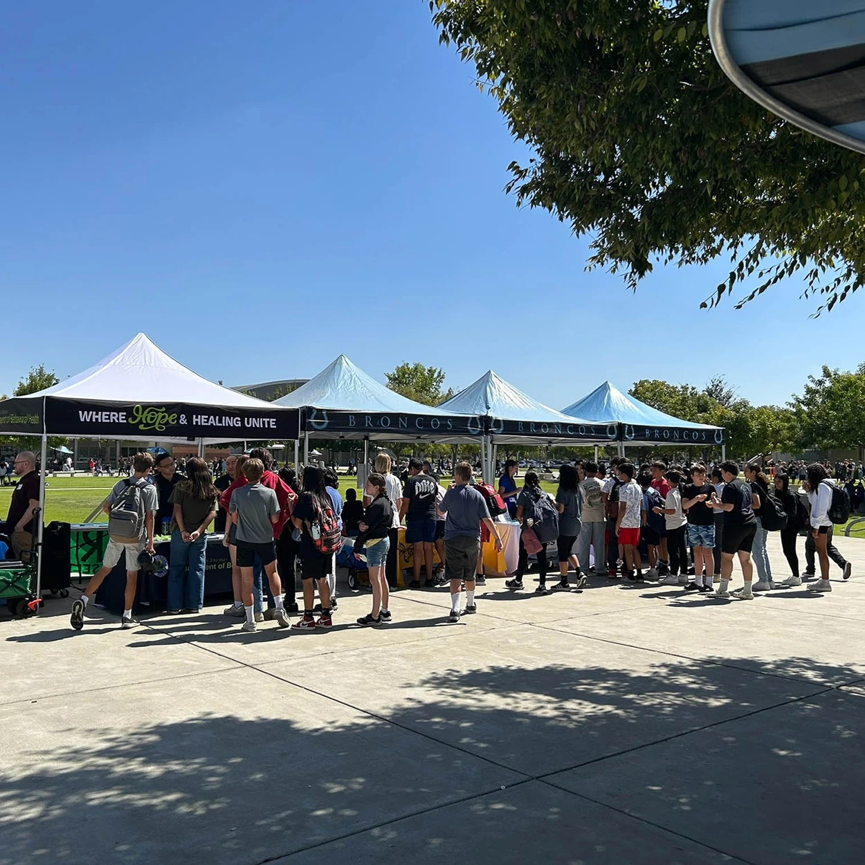 Row of custom branded canopy tents used for food vendors and marketing at an outdoor community event