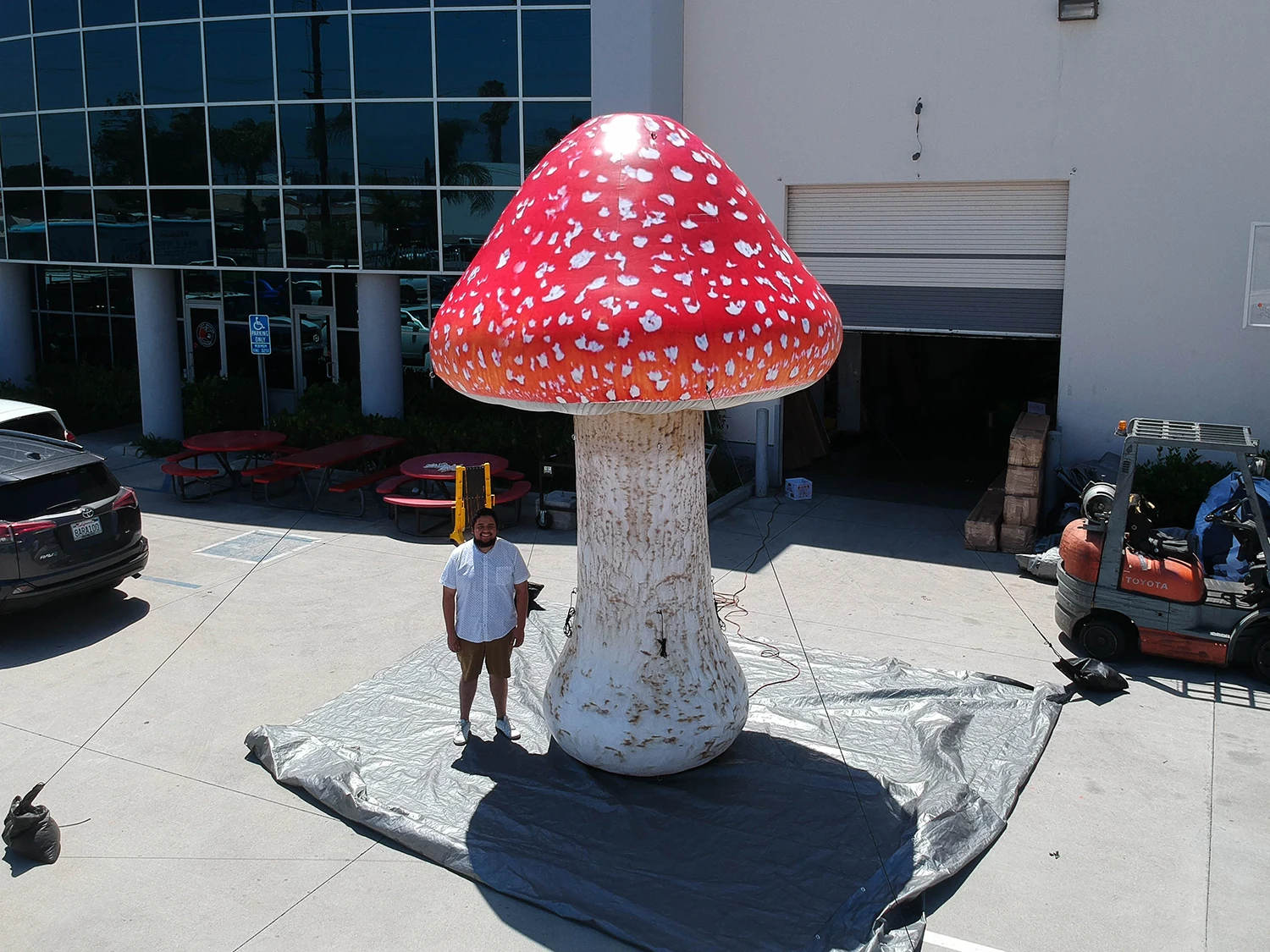 Inflatable Amanita Muscaria Replica