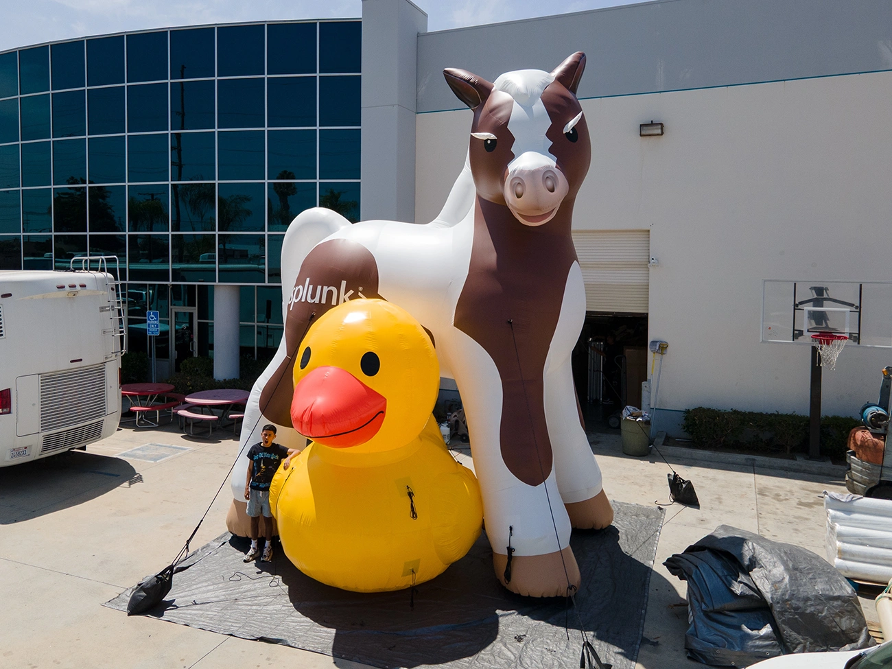 Custom inflatable horse and duck display for branding and promotional events