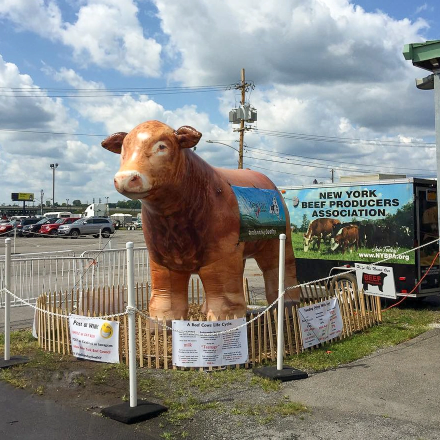 Realistic giant inflatable cow displayed outdoors with stanchions, signage, and a branded trailer backdrop for an agriculture event promotion.