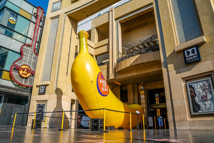 Giant inflatable banana installed outside a venue entrance in daylight with barricades around the display.