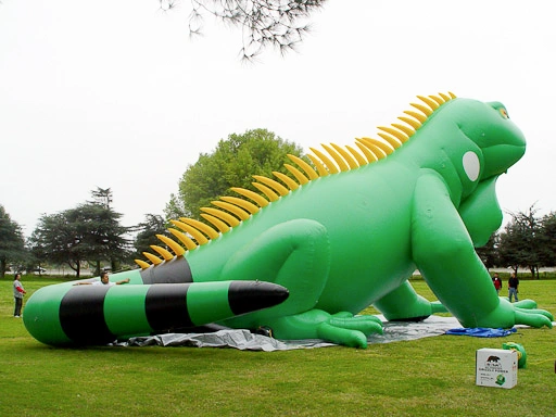 Rear-side view of a giant inflatable iguana on a grass field showing its full length and tail footprint.