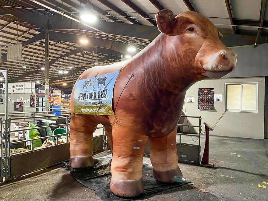 Giant inflatable cow displayed indoors in a livestock exhibit area with railings and barn structure, shown as a realistic event display.