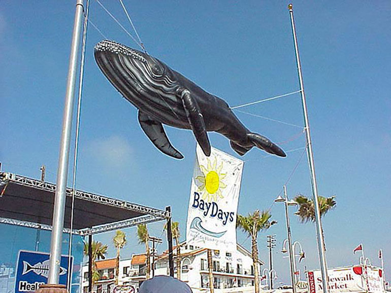 Custom inflatable whale displayed above an outdoor event to support marine education and conservation awareness.