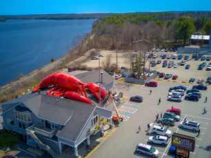 Giant Inflatable Lobster