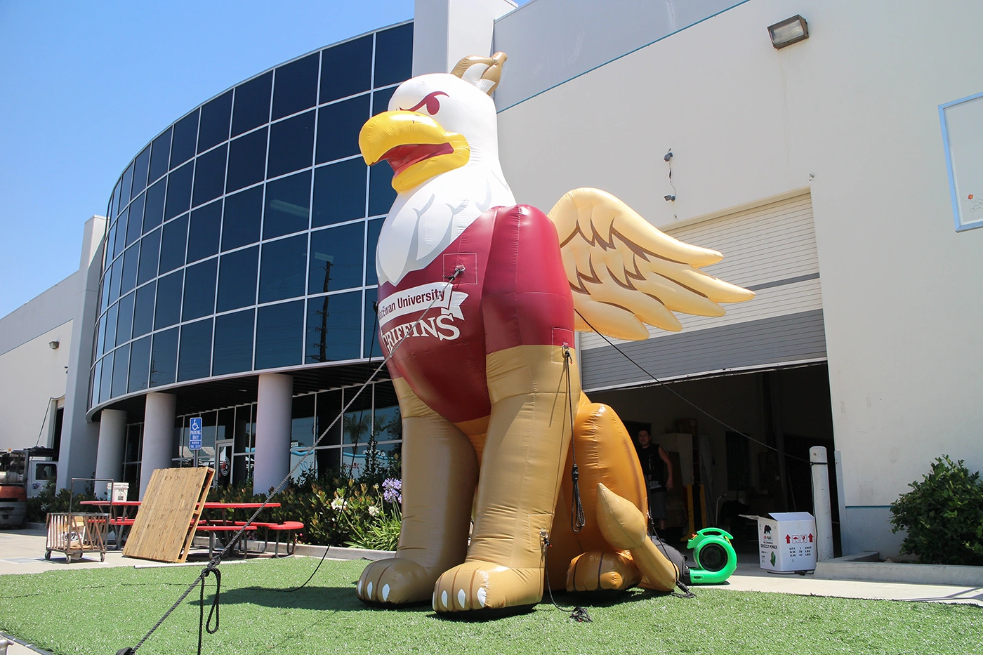 A bold griffin mascot inflatable placed outside a university building, ideal for graduations, fundraisers, and promotional photos.