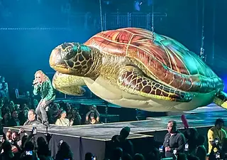 Custom giant inflatable turtle display created for live events, stage productions, themed environments, and public activations.