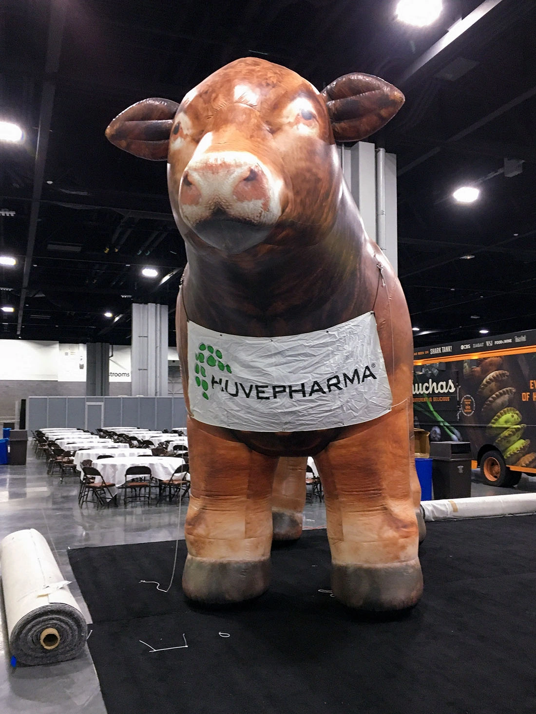 Front view of a giant inflatable cow on a trade show floor with a large branding banner across the body, staged as an exhibit landmark.