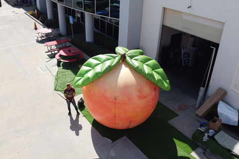 Peach Inflatable
