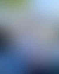 Pop Up Canopy for Ice Cream Shop