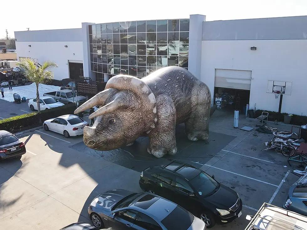 Giant inflatable triceratops display shown in a wide angle view, highlighting the full body footprint and horned silhouette for event use.