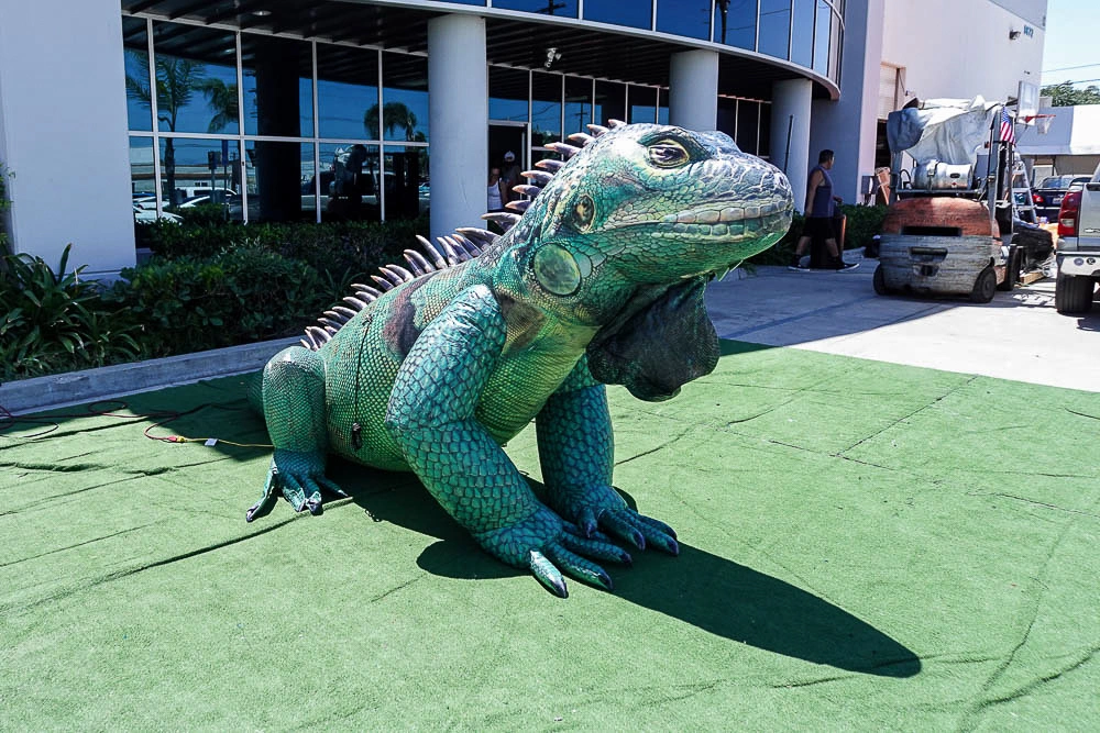 Realistic giant inflatable iguana installed outdoors on green turf near a venue entrance for an event activation.