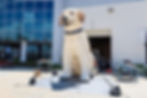 Giant Inflatable Dog