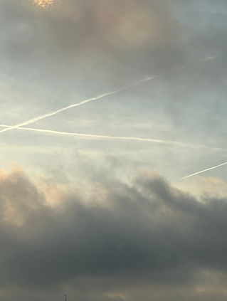 24835B1B-83D2-4D17-A9D3-19B30638D6C0_1_105_c.jpeg