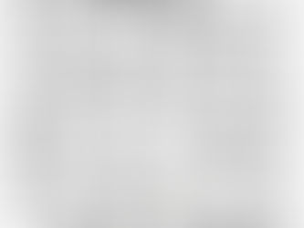 Lenguaje Corporal en Perros (Parte I)