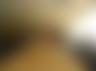 Библиотечный семинар: пересмотрение профессиональной роли и обретение навыков.