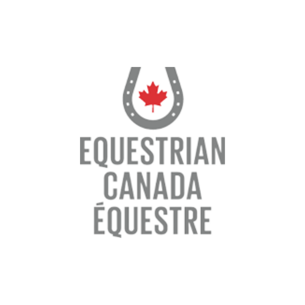 Partners 2022 To update (4)