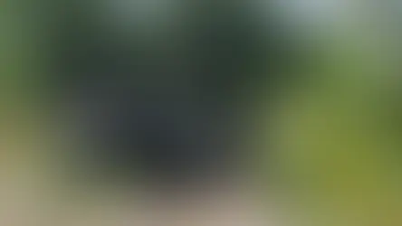 Egipat modernizuje tenkove Abrams, Poljska i Rumunija očekuju isporuku najnovije verzije