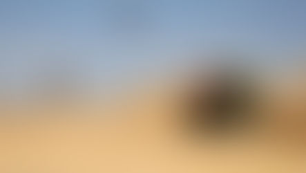 Dobar plasman srpskog oružja na Bliskom istoku