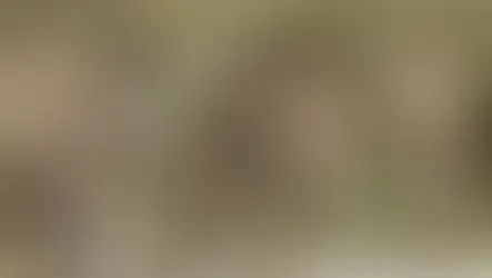 Amerikanci podižu vojni minimalac - ljudi skuplji od nosača aviona