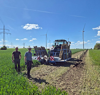 VIVO Carbon Pflanzung Agroforst Reupke Niedersachsen_05