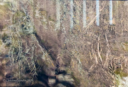 Natur Speglingar Fönster Träd Arken Eriksberg Blekinge
