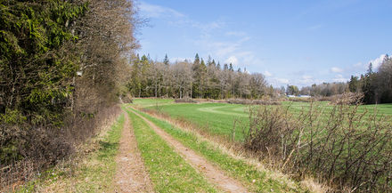 Gamla avrättningsplatser, avrättning, galgbacke, Hällaryd, kulturminne, Blekinge, visit Blekinge