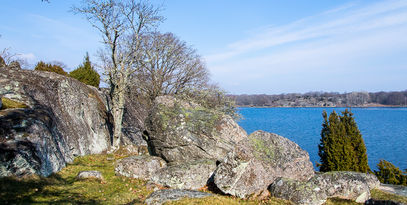 Naturfoto, natur, träd, skog, sjöar, berg, stenar, mossa, Eriksberg