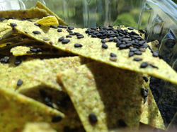 Zuchinni Basil Crackers