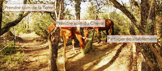 Atelier sur le Paddock Paradise et l'agro-écologie équine Marie-Laure Guénot (17 - 18 décembre 2