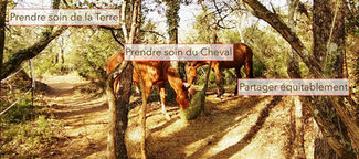 Atelier sur le Paddock Paradise et l'agro-écologie équine Marie-Laure Guénot (17 - 18 décembre 2