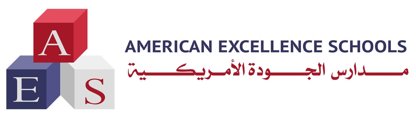 American Excellence Schools Logo