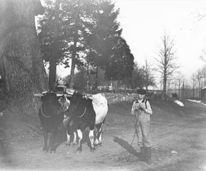 1907-RalphBargerII-age16.jpeg