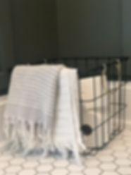 Lisa Clark Design Interior Design Steinbach Winnipeg Manitoba powder room hexagon floor green wall panelling marble countertop top