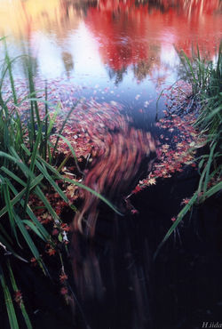 1998-1104-24-3795web